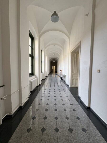 prostory základní školy Basic Brno